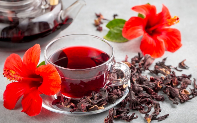 Como hibisco controla hipertensão (como preparar)